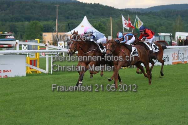 IMG 0257 prot