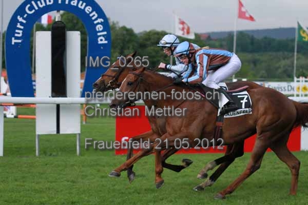 IMG 0265 prot