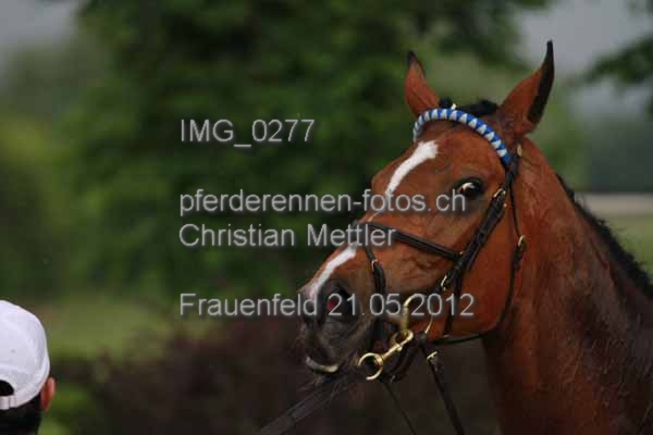 IMG 0277 prot