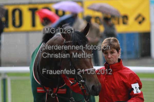 IMG 0281 prot