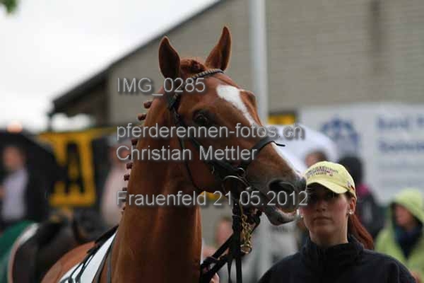 IMG 0285 prot