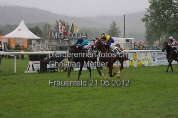 IMG 0334 prot