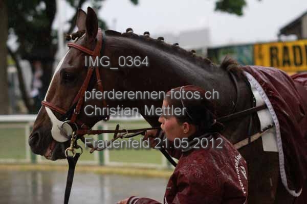 IMG 0364 prot