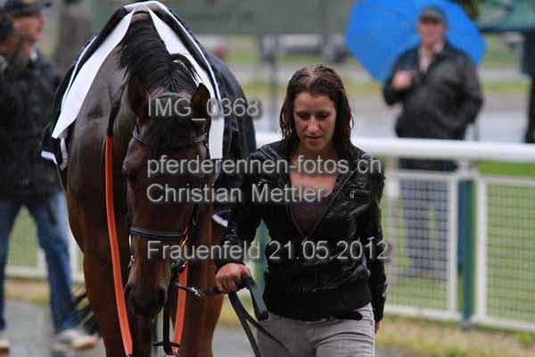IMG 0368 prot