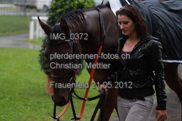 IMG 0372 prot