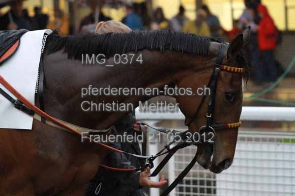 IMG 0374 prot