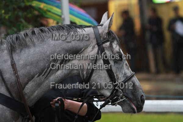 IMG 0375 prot