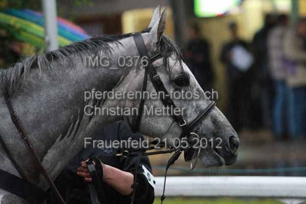 IMG 0376 prot