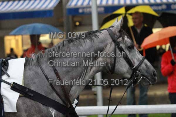 IMG 0379 prot
