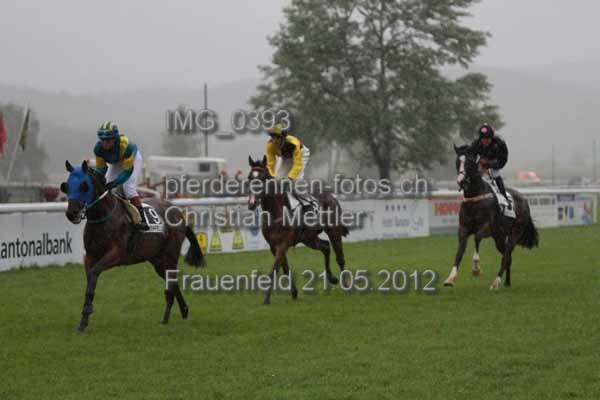 IMG 0393 prot