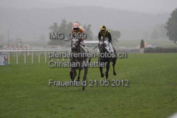 IMG 0399 prot
