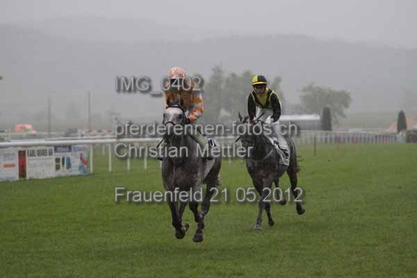 IMG 0402 prot
