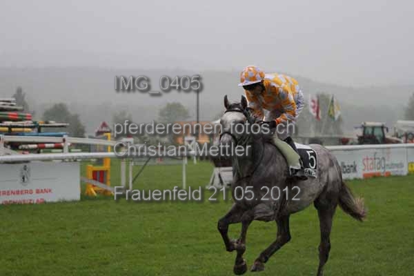 IMG 0405 prot