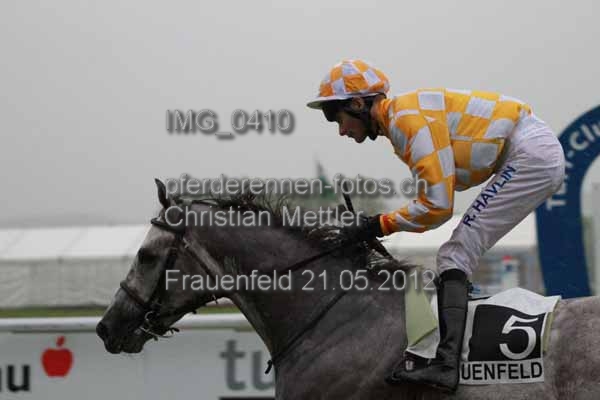 IMG 0410 prot