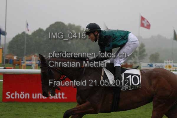 IMG 0418 prot