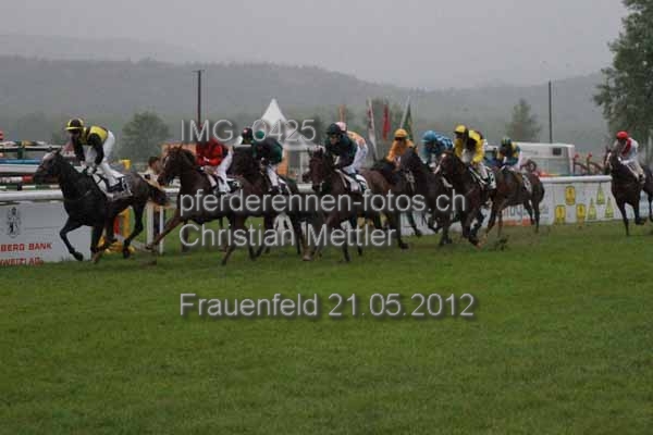 IMG 0425 prot