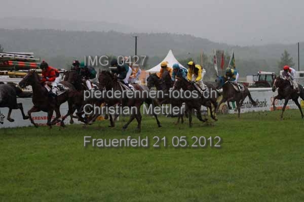 IMG 0427 prot