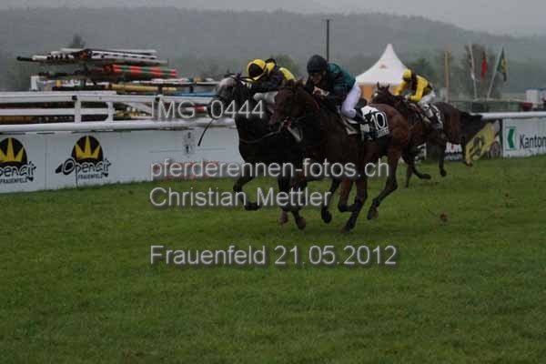 IMG 0444 prot