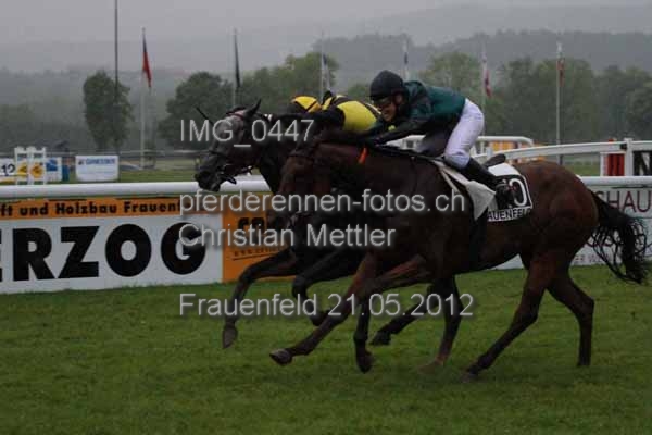 IMG 0447 prot
