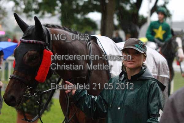 IMG 0453 prot