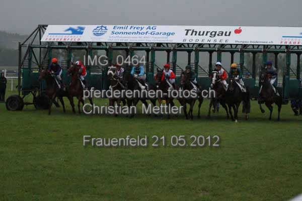 IMG 0464 prot