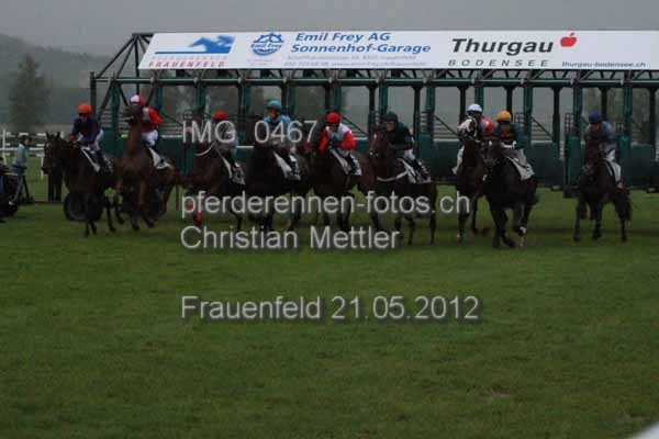 IMG 0467 prot