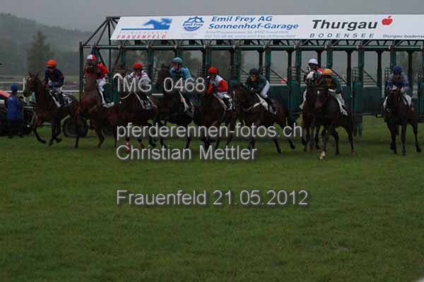 IMG 0468 prot