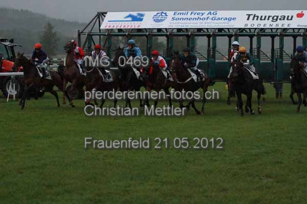 IMG 0469 prot