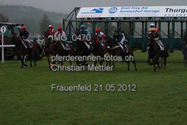 IMG 0470 prot