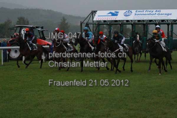IMG 0471 prot