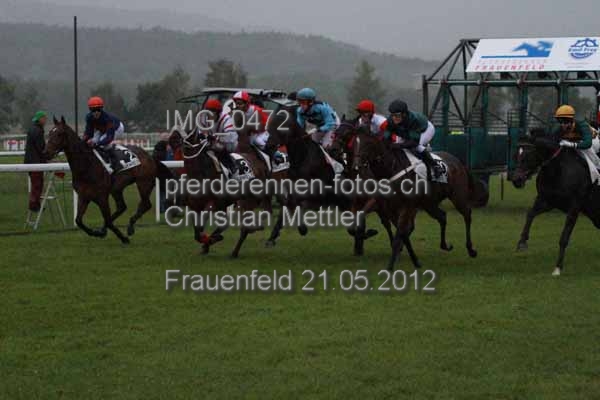 IMG 0472 prot