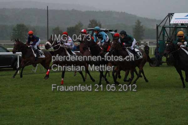 IMG 0473 prot