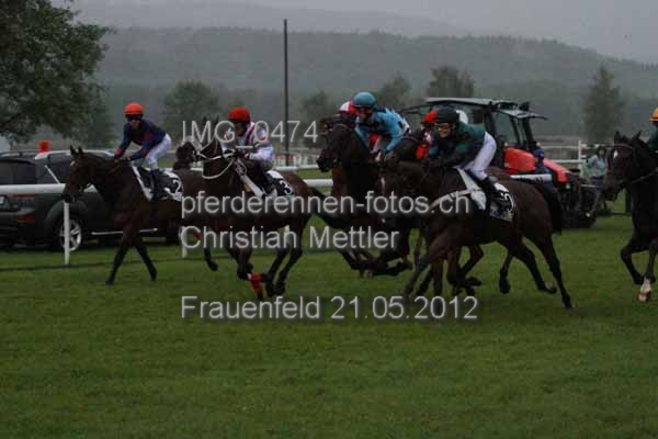 IMG 0474 prot