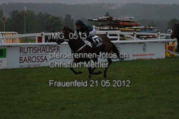 IMG 0513 prot