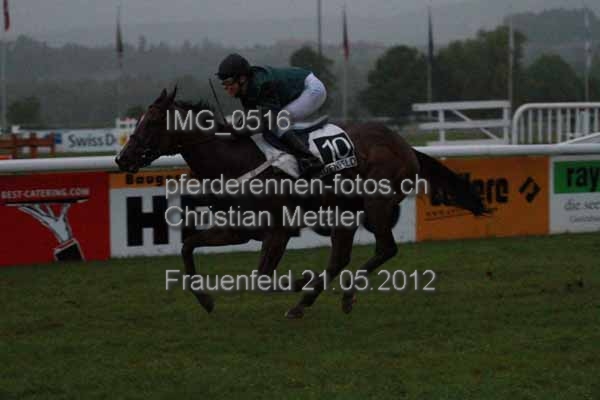 IMG 0516 prot