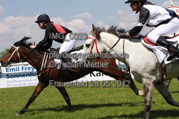 IMG 0023 prot