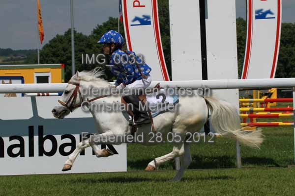IMG 0033 prot