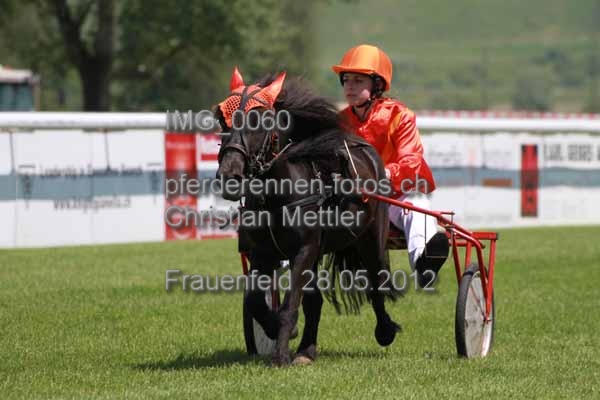 IMG 0060 prot