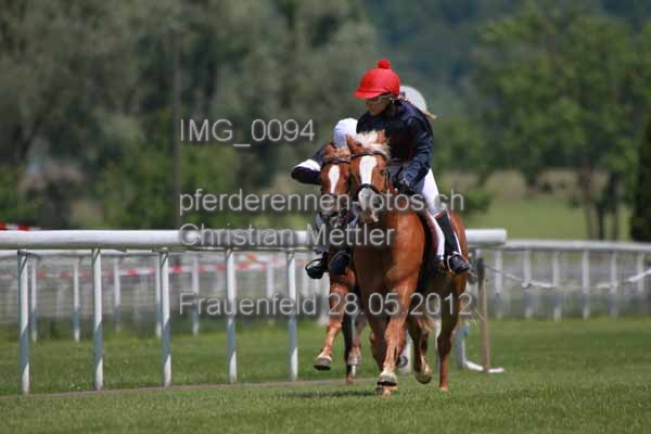 IMG 0094 prot