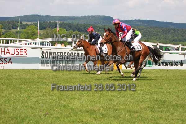IMG 0111 prot
