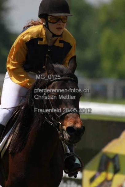 IMG 0125 prot