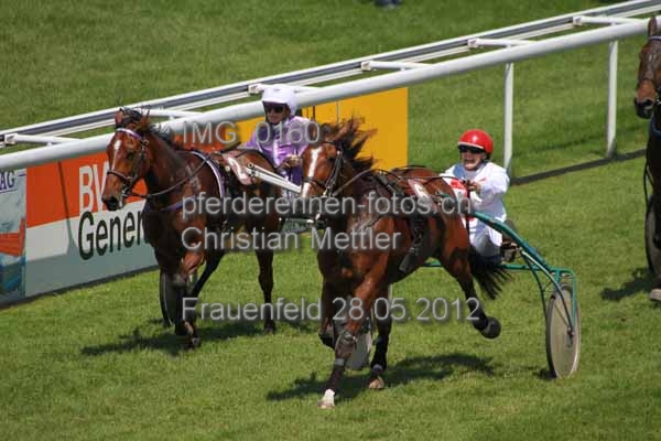 IMG 0160 prot