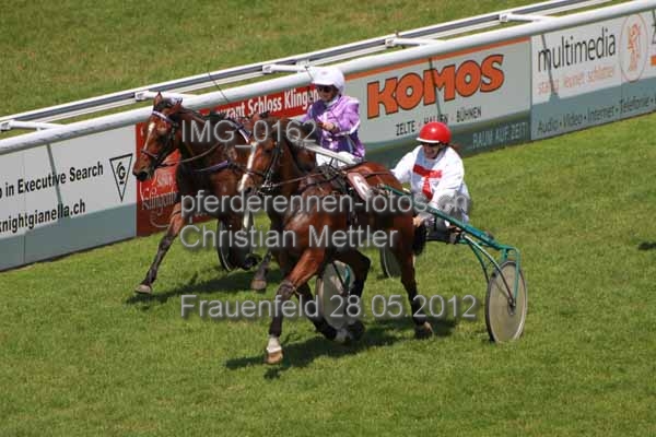 IMG 0162 prot