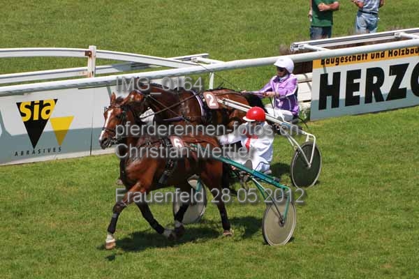 IMG 0164 prot