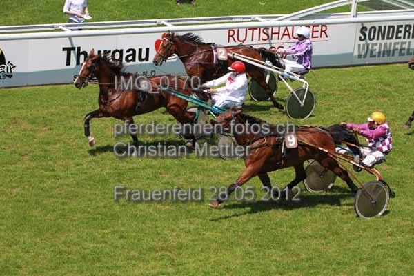 IMG 0170 prot