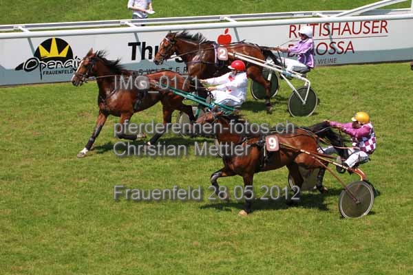 IMG 0171 prot