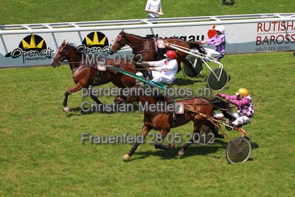 IMG 0172 prot