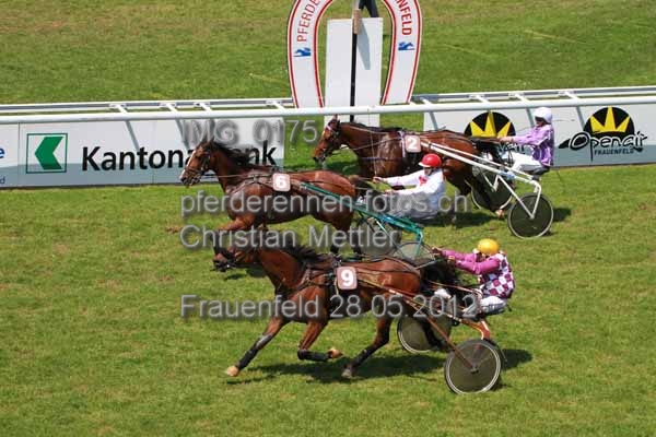 IMG 0175 prot