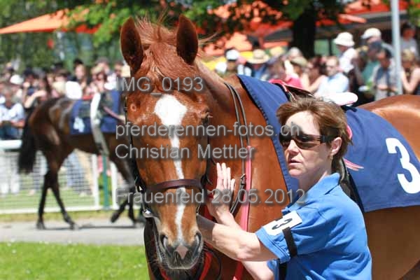 IMG 0193 prot