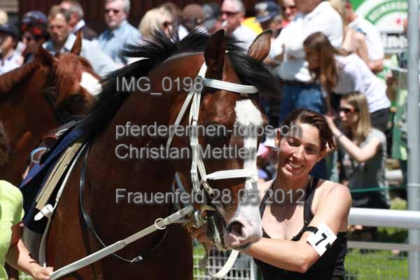 IMG 0198 prot